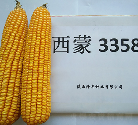 3358-¡SNI