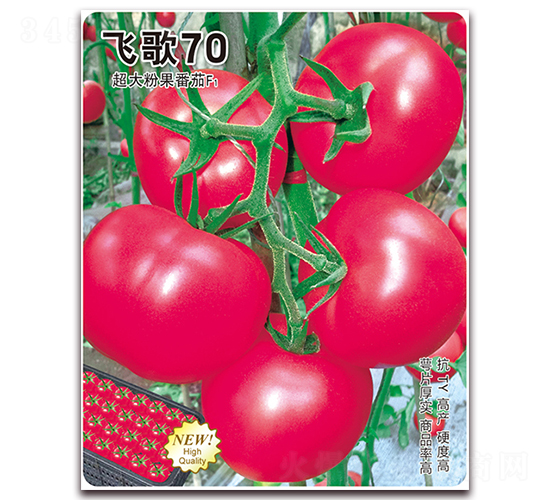 w70-ѷN-wrI