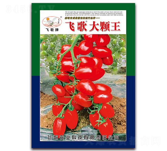 飛歌大顆王-番茄種子-飛歌農業
