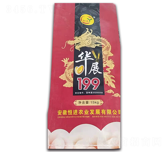 華展199-玉米種子-恒進農業