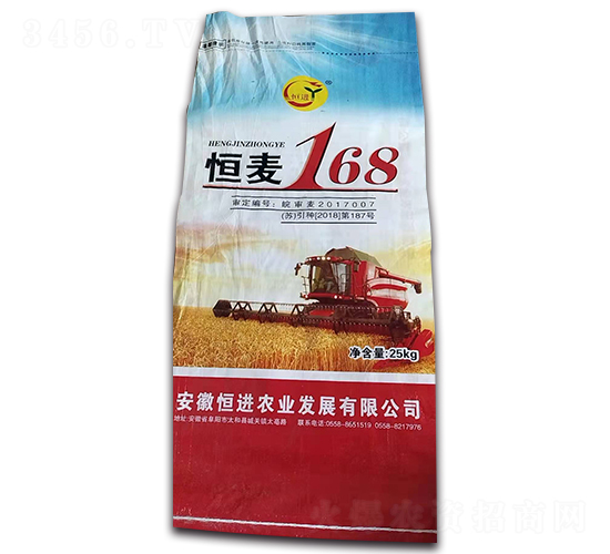恒麥168-小麥種子-恒進農業