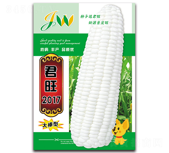 2017-rʳ׷N-Iھ