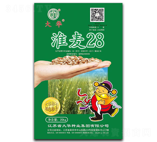 淮麥28-小麥種子-大華種業