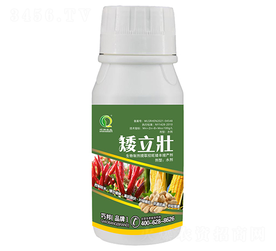 矮立壯-巧邦農(nóng)業(yè)