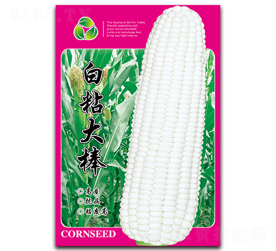 ճ-Ŵ׷N-ǷNI