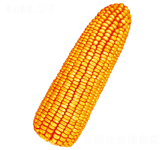 혆7̖-׷N-SNI(y)