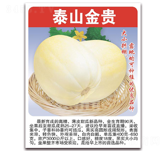 泰山金貴-甜瓜種子-美好種苗