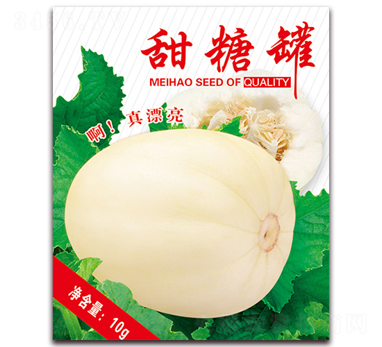 甜糖罐-甜瓜種子-美好種苗