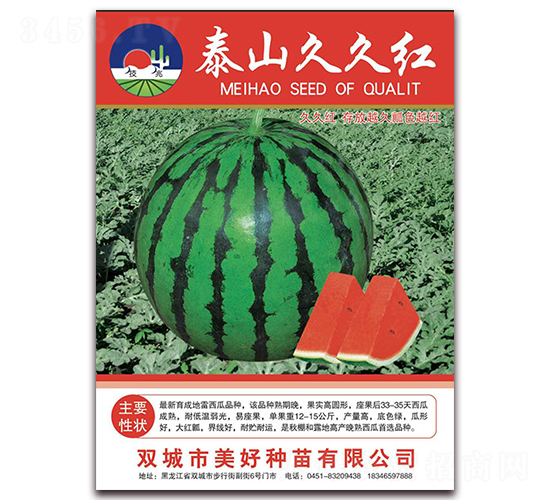泰山久久紅-西瓜種子-美好種苗