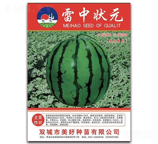 雷中狀元-西瓜種子-美好種苗