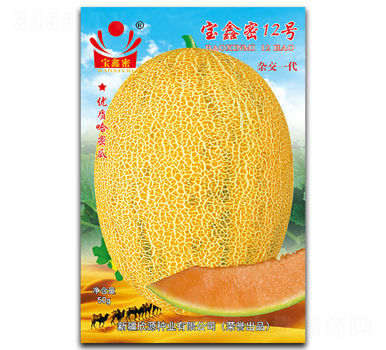 12̖-ϷN-ԴNI