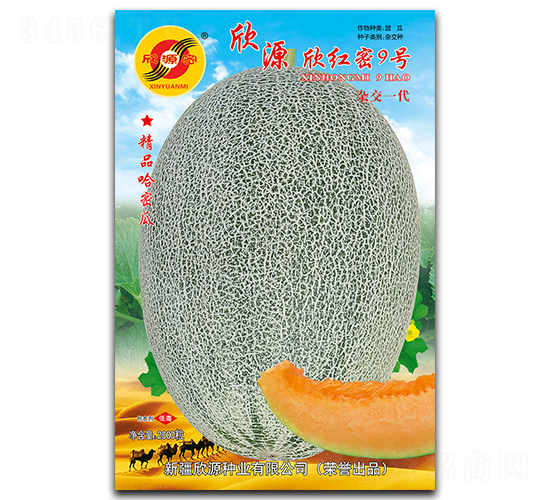 t9̖(ho)-ϷN-ԴNI(y)