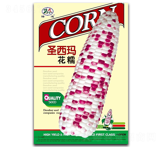 ʥŴ-Ŵ׷N-¡_