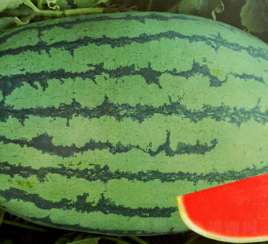 S̖-ϷN-