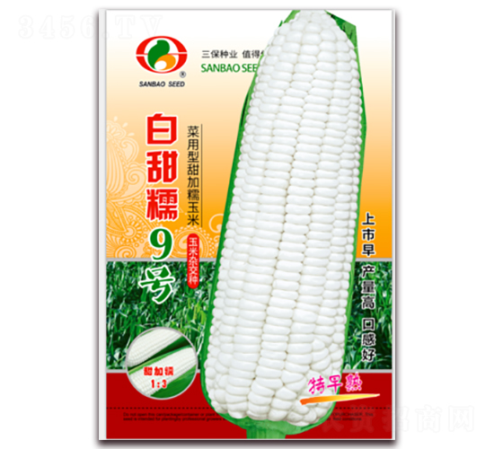 Ŵ9̖-Ŵ׷N-NI