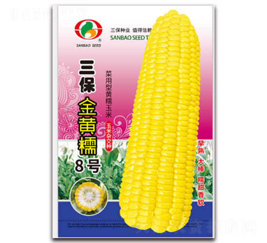 SŴ8̖-Ŵ׷N-NI