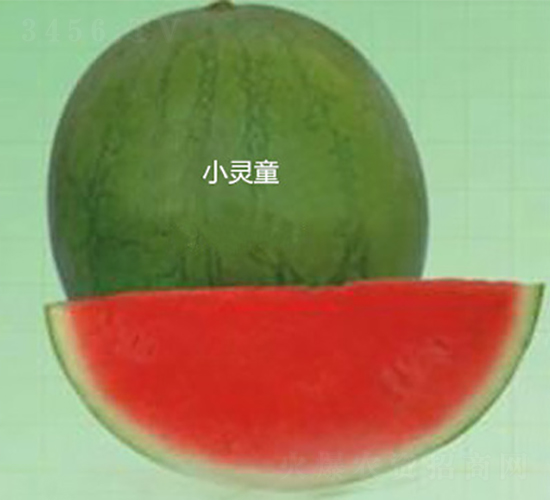 С`ͯ-ϷN-ʢNI