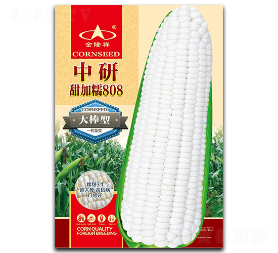 Ŵ808-Ŵ׷N-¡