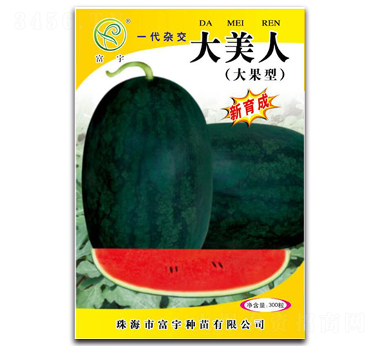 大美人-西瓜種子-富宇種苗