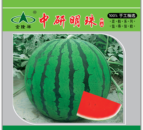 中研明珠-西瓜種子-金隆祥