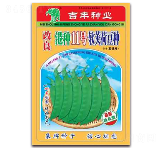 改良港種11號軟莢荷豆種-荷蘭豆種子-吉豐種業