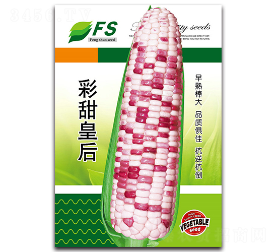 ʺ-Ŵ׷N-STNI