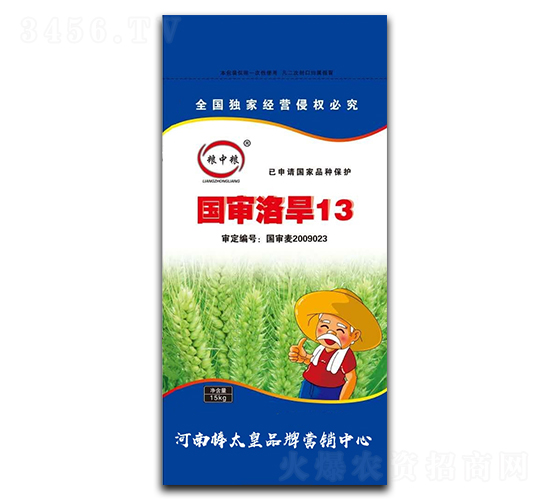 庵13СNӣ-ZмZ-ڷNI