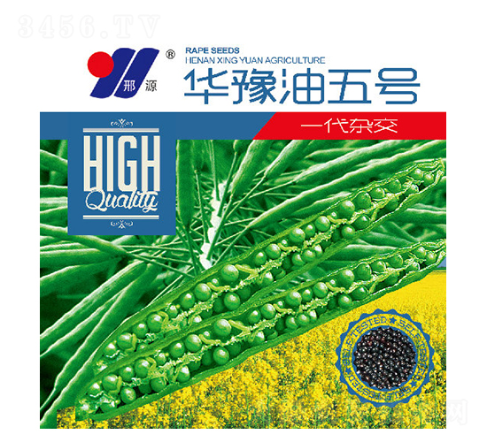 華豫油五號-油菜種子-邢源農業