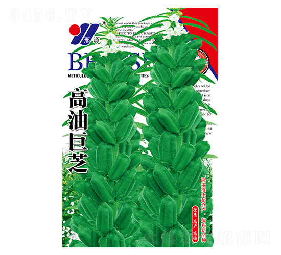 ;֥-֥N-ԴrI