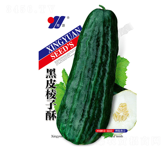 Ƥ-ϷN-ԴrI