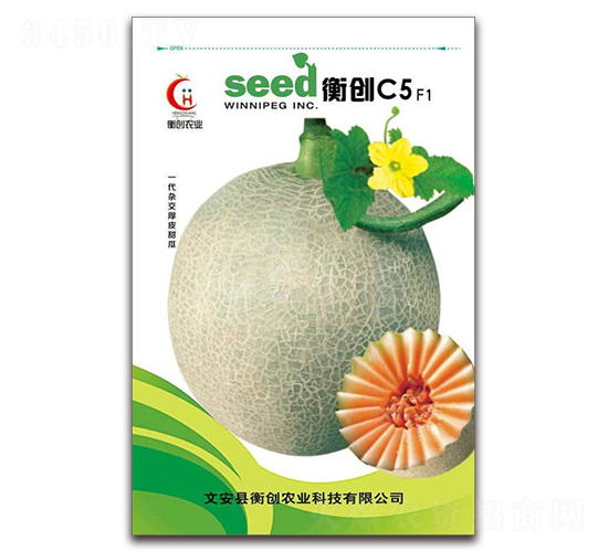 衡創C5-哈密瓜種子-衡創農業