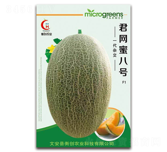 君網蜜八號-哈密瓜種子-衡創農業