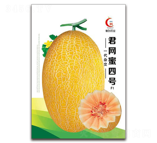 君網蜜四號-哈密瓜種子-衡創農業