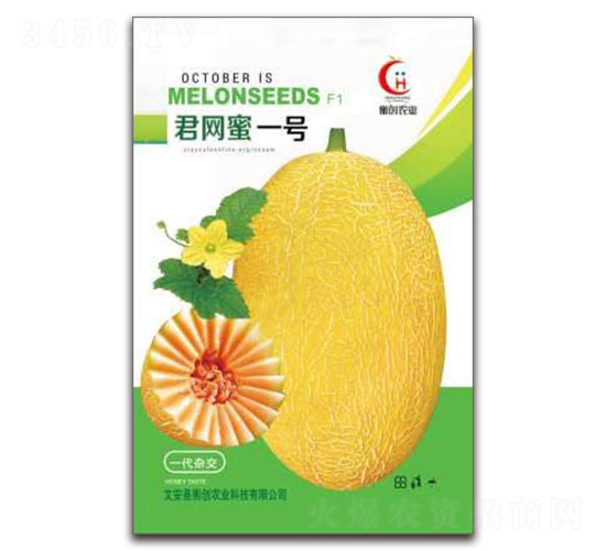 君網蜜一號-哈密瓜種子-衡創農業