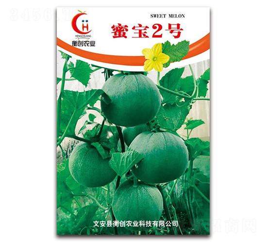 蜜寶2號(hào)-薄皮甜瓜種子-衡創(chuàng)農(nóng)業(yè)
