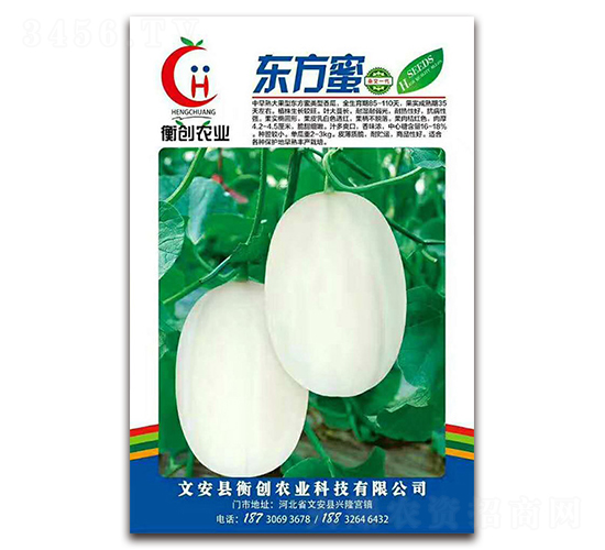 東方蜜-厚皮甜瓜種子-衡創(chuàng)農(nóng)業(yè)