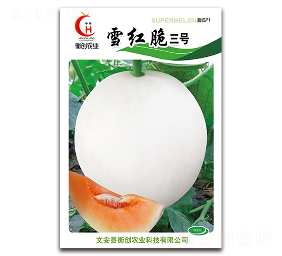 雪紅脆三號-厚皮甜瓜種子-衡創農業