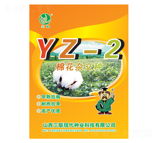 ޻sNYZ-2-