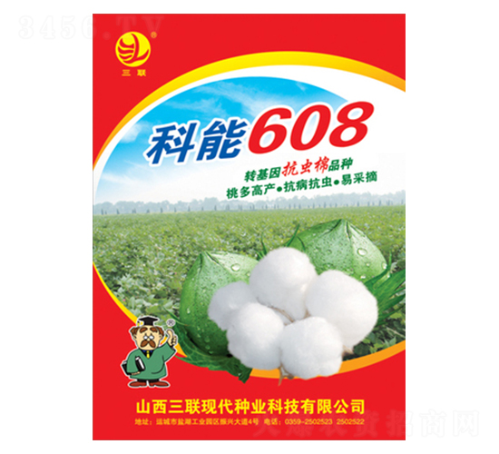 608-޻N-