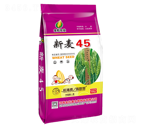 新麥45-小麥種子-金粒農業
