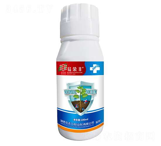 טsS΢-B