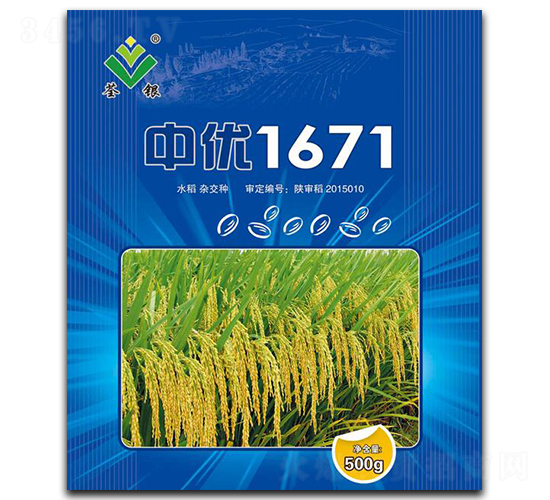 中優1671-水稻種子-荃銀高科