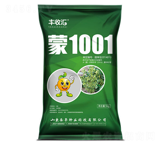 1001-󶹷N-ʥSNI