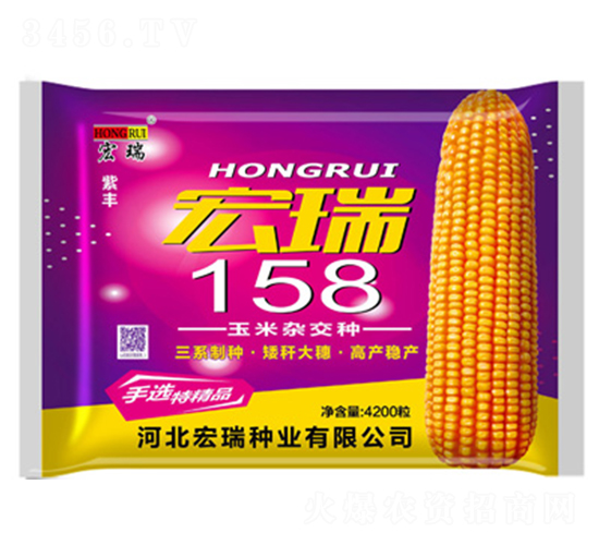 宏瑞158（袋）-玉米種子-宏瑞種業