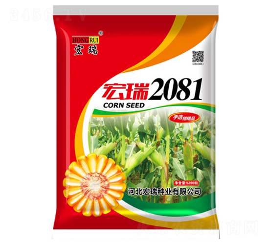 2081t-׷N-NI