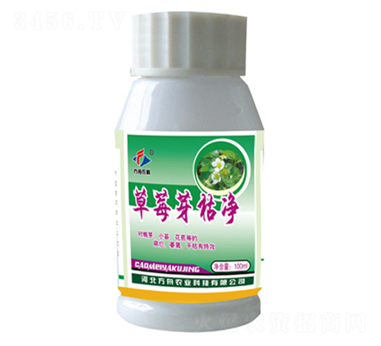 草莓芽枯凈-方舟農業
