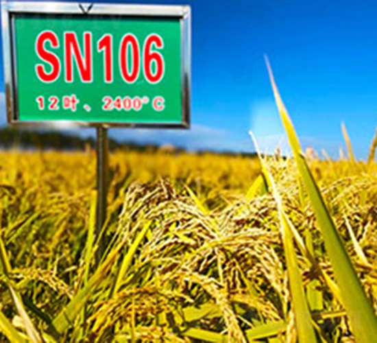 SN106-ˮN-ϷNI