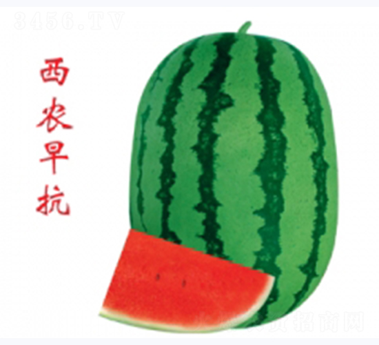 r翹-ϷN-ؼtNI