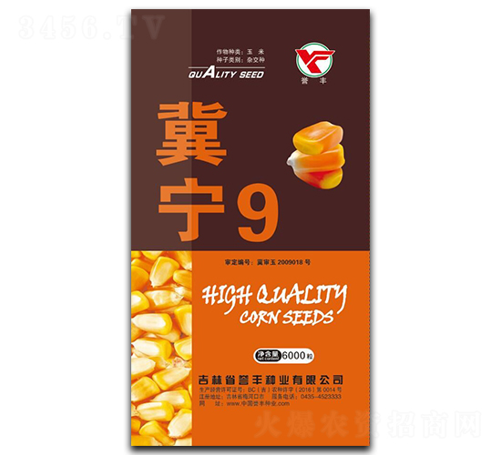 冀寧9-玉米種子-譽豐種業