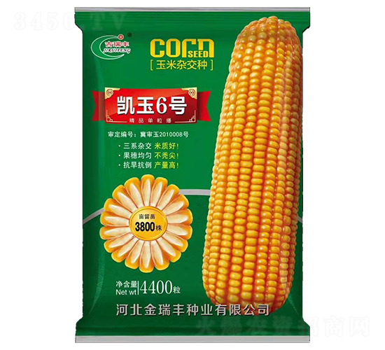 凱玉6號（綠）-玉米種子-金瑞豐種業